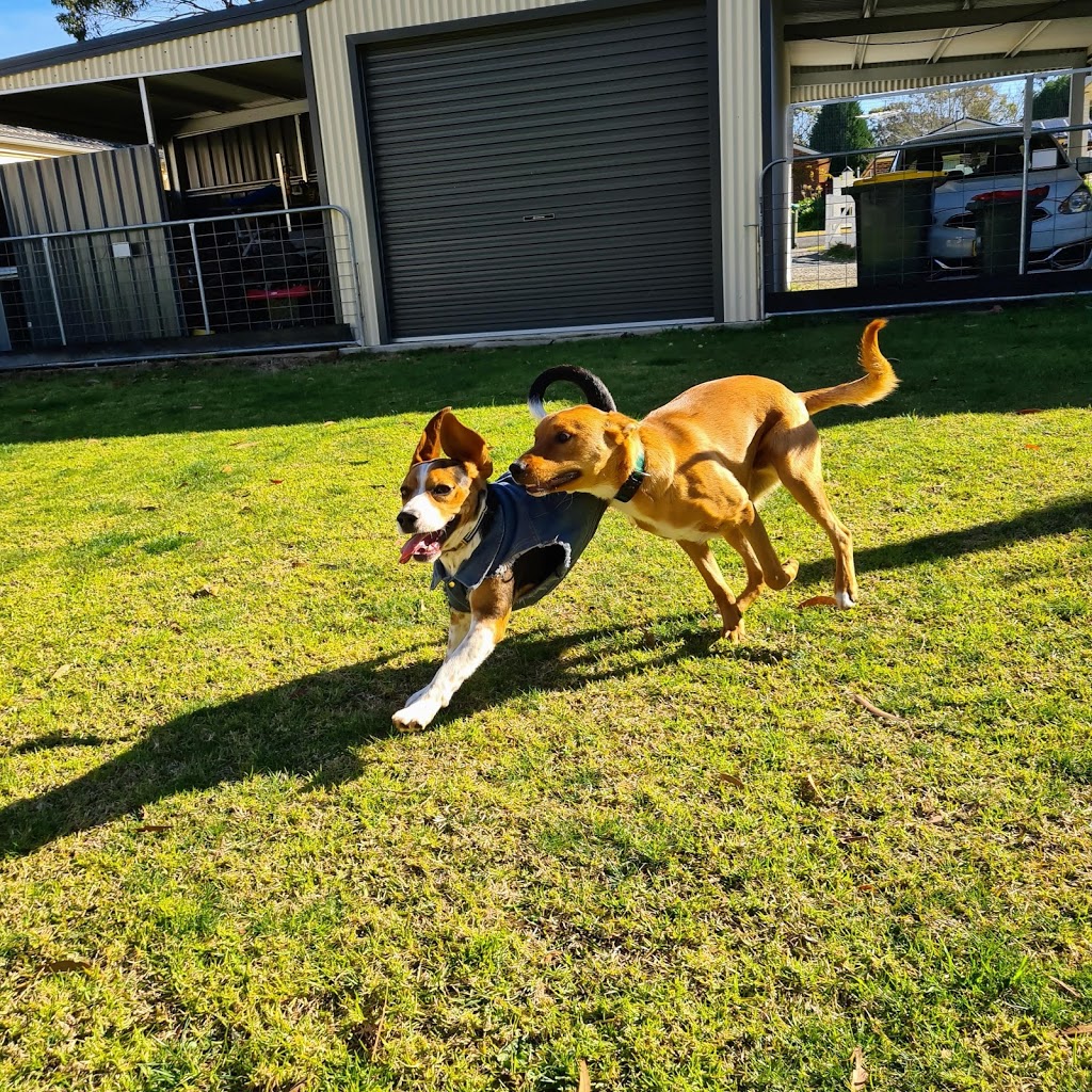 S & N Pet Services | Emerald Court, Colo Vale NSW 2575, Australia | Phone: 0413 461 966