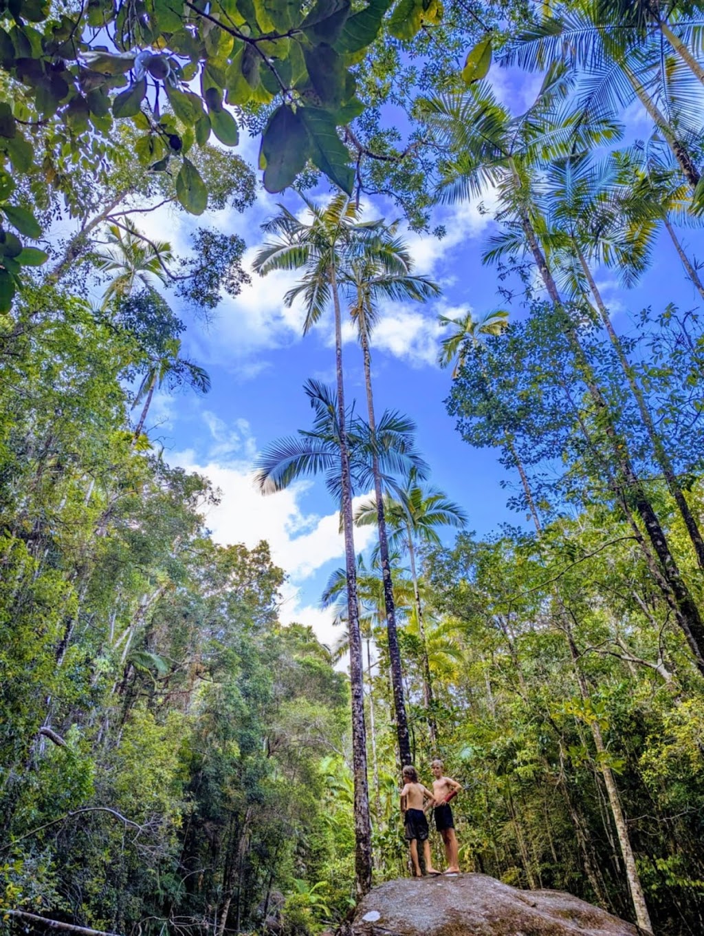 Off Camber Mountain Biking | 44 Anzac Parade, Finch Hatton QLD 4756, Australia | Phone: 0427 733 967