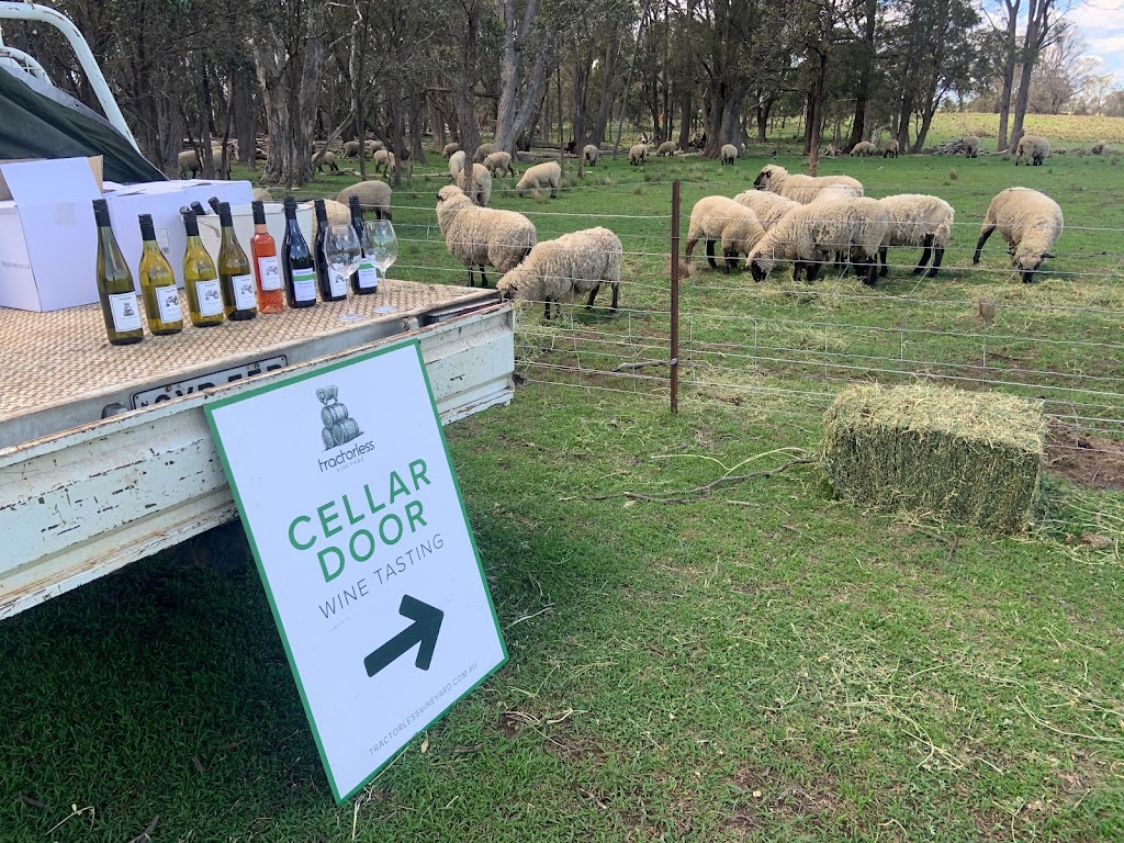 Tractorless Vineyard | 132 Compton Park Rd, Berrima NSW 2577, Australia | Phone: 0402 217 907