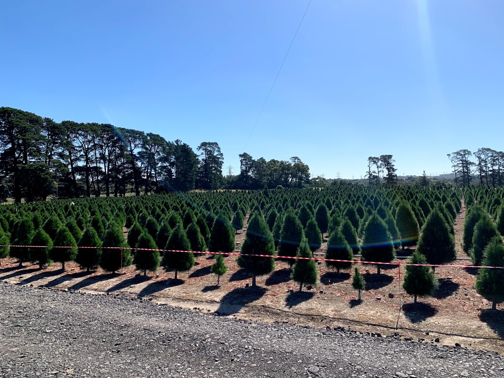 Dandenong Christmas Tree Farm | 336 Brown Rd, Officer VIC 3809, Australia | Phone: 1300 655 652