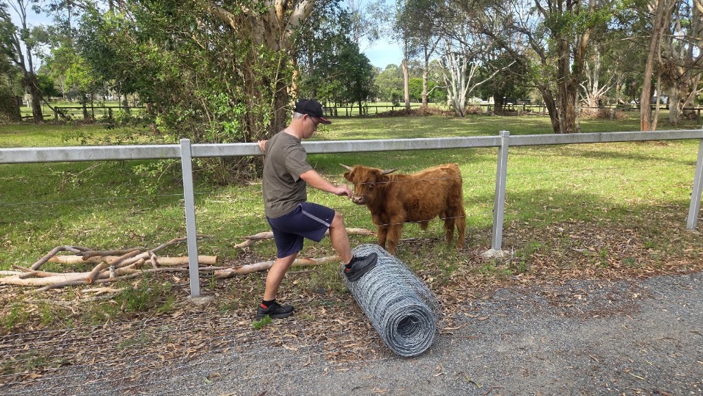 Our Farmily | 30 Bellay Rd, Beachmere QLD 4510, Australia | Phone: 0461 310 510
