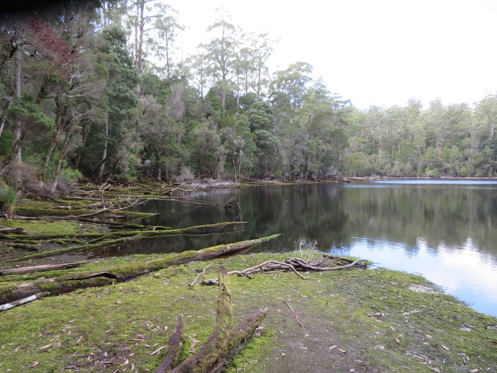 Lake Chisholm Forest Reserve | park | West Coast TAS 7321, Australia