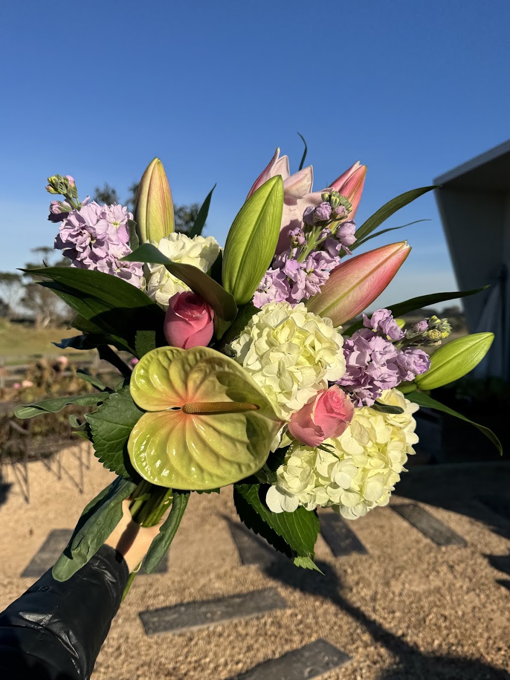 Flora By Maxiflora | 1 Samuel Amess Dr, Newhaven VIC 3925, Australia | Phone: 0403 184 134