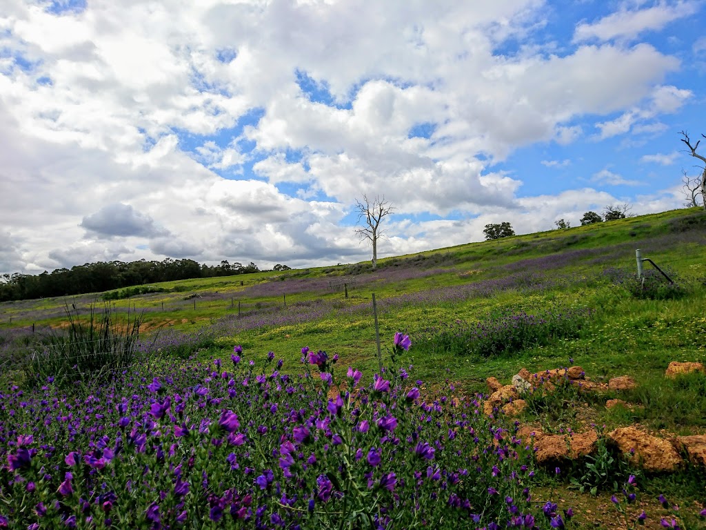 Stocks Country Retreat | lodging | 26 Boulonnais Dr, Brigadoon WA 6069, Australia | 0892961945 OR +61 8 9296 1945