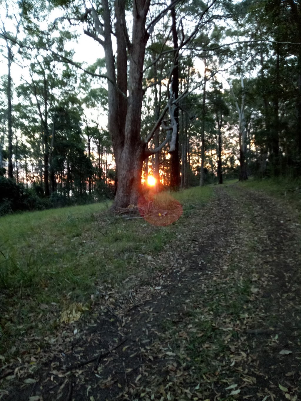 Queens Lake State Conservation Area | Bonny Hills NSW 2445, Australia