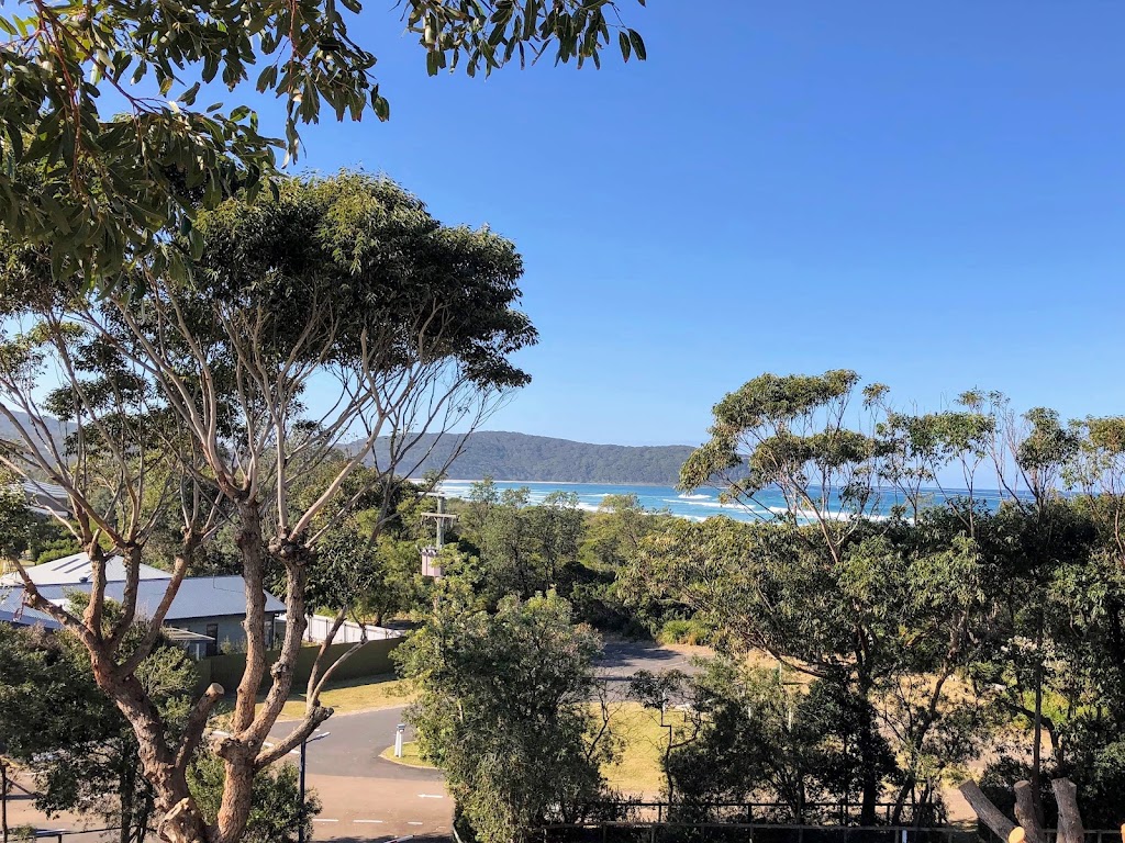Outlook Tree Solutions | 125 Larrys Mountain Rd, Moruya NSW 2537, Australia | Phone: 0428 118 425