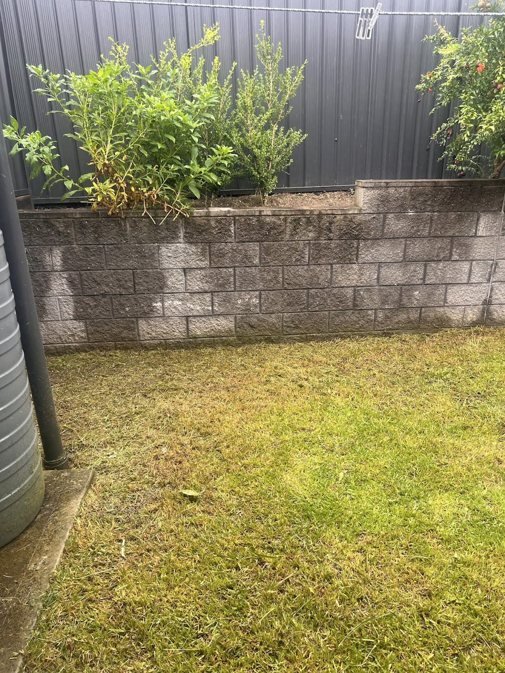 Mr Mower and removal services | 22 Tamborine Dr, Minto NSW 2566, Australia | Phone: 0420 272 114