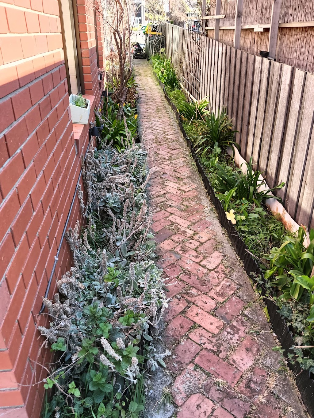 5gardengws | 105 Lennox Ave, Lutana TAS 7009, Australia | Phone: 0468 356 685