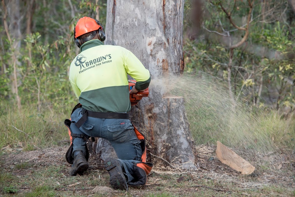 Browns Professional Tree Service | 449 Eel Creek Rd, Pie Creek QLD 4570, Australia | Phone: (07) 5482 9693