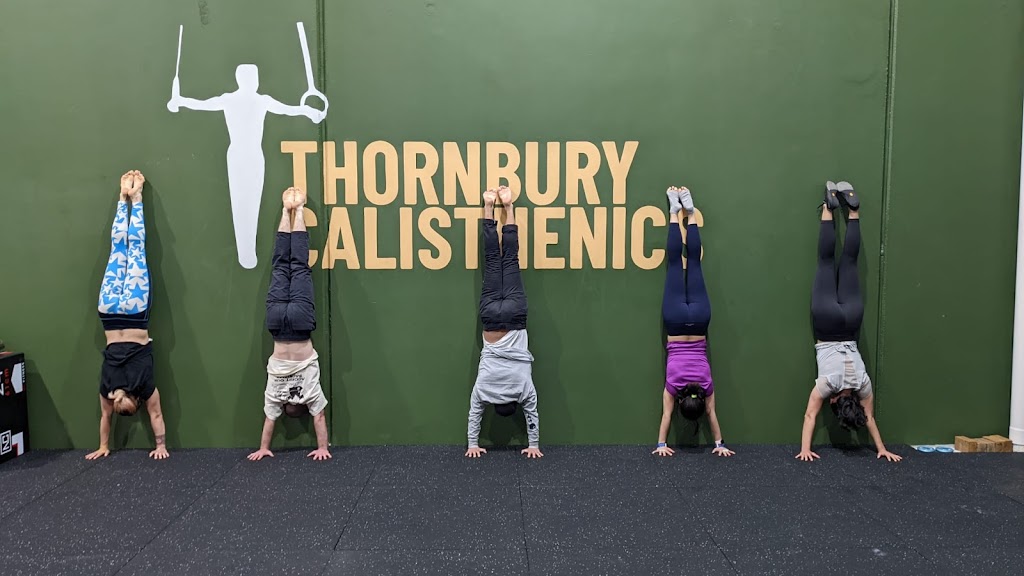 Thornbury Calisthenics | gym | 2/1B Matisi St, Thornbury VIC 3071, Australia | 0404903772 OR +61 404 903 772