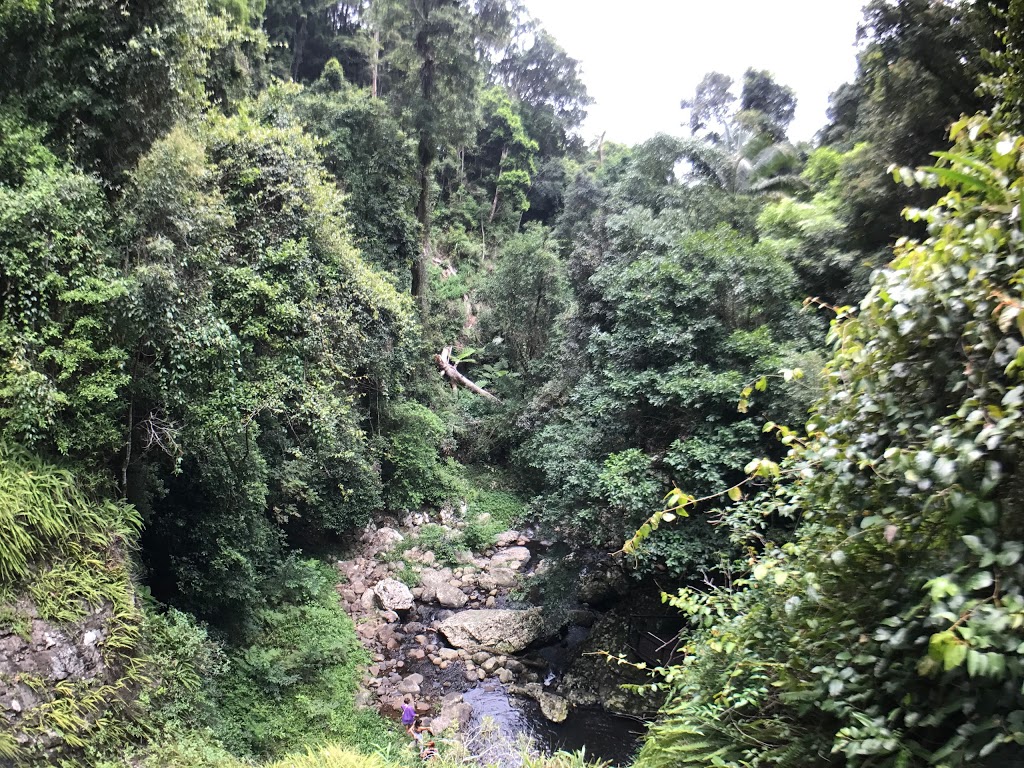 Natural Bridge | Bakers Rd, Natural Bridge QLD 4211, Australia | Phone: 13 74 68