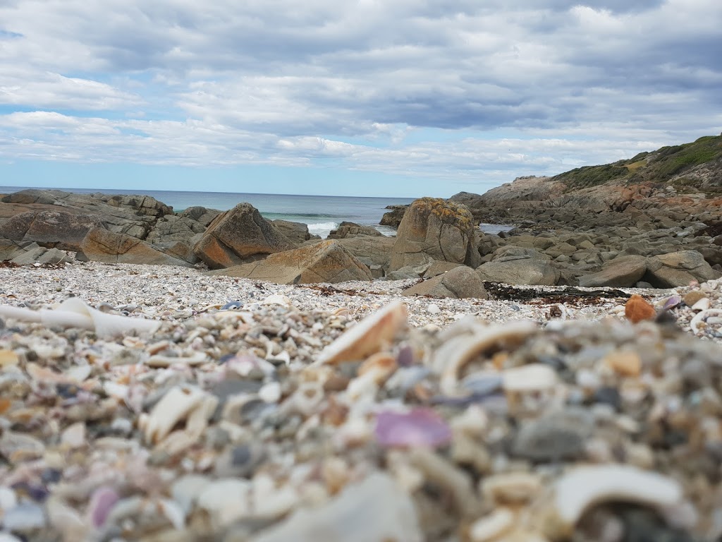 Scamander Conservation Area | park | Tasmania, Australia