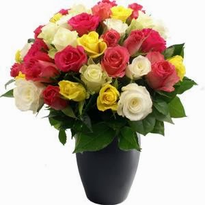 Coffs Harbour Florist Shop | florist | 113 Toormina Rd, Coffs Harbour NSW 2452, Australia | 0266191089 OR +61 2 6619 1089