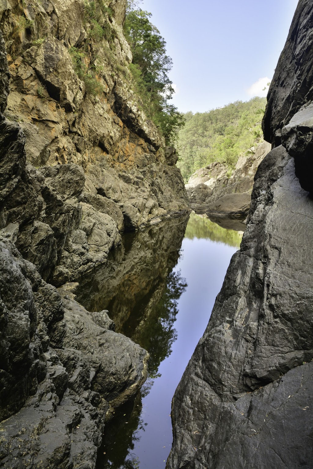 Wrattens National Park | park | Wrattens Forest QLD 4601, Australia