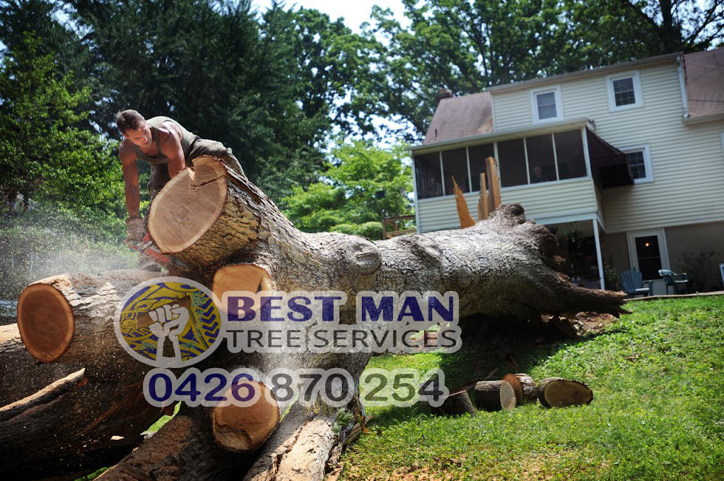 Best Man Tree Services | 3 Roscoe St, Kotara South NSW 2289, Australia | Phone: 0411 520 336