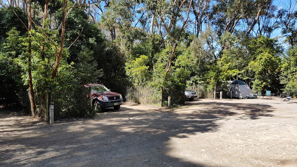 Pebbly Beach Campground | Pebbly Beach Access Rd, East Lynne NSW 2536, Australia | Phone: (02) 4478 6582