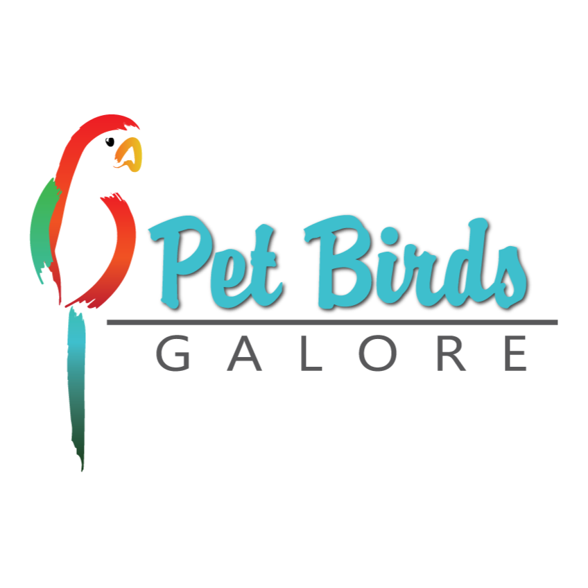Pet Birds Galore | 118 Melrose St, Mount Pleasant SA 5235, Australia | Phone: 0479 180 048