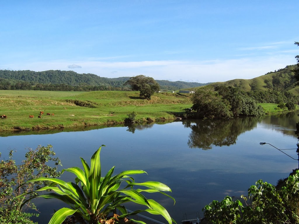 Daintree Riverview Lodges & Van Park | 2 Stewart St, Daintree QLD 4873, Australia | Phone: 0409 627 434