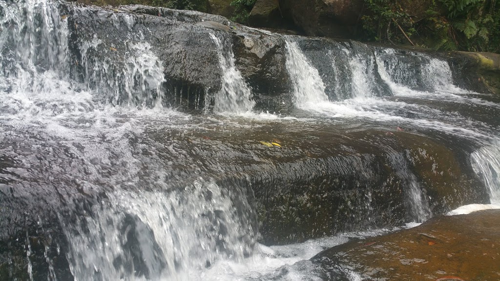 Belmore Falls walking track | park | Hindmarsh Lookout Track, Barrengarry NSW 2577, Australia | 0248877270 OR +61 2 4887 7270