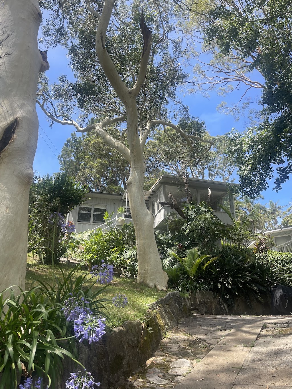 YOGA WITH CLARI | 129 Whale Beach Rd, Avalon Beach NSW 2107, Australia | Phone: 011 15-6890-3351