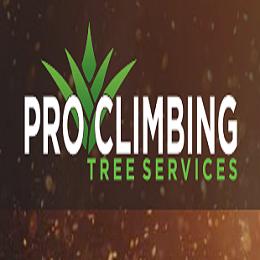 Pro Climbing Tree Services | general contractor | 41 Foamcrest Ave, Newport NSW 2106, Australia | 0415463647 OR +61 415 463 647