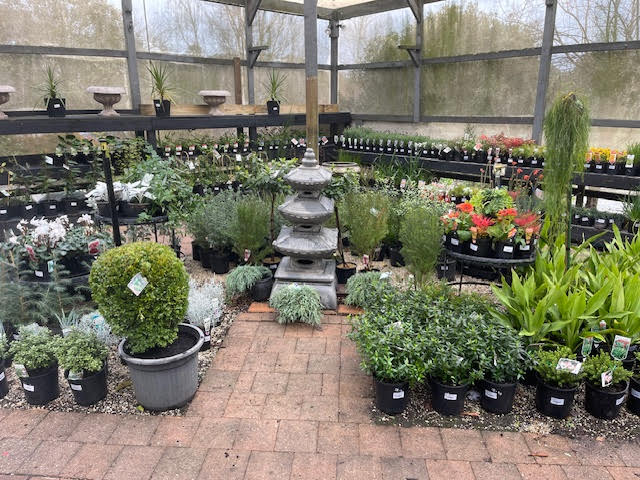 Aussie Outdoor Nursery & Emporium Ballarat | 9527 Western Fwy, Warrenheip VIC 3352, Australia | Phone: (03) 5331 8272