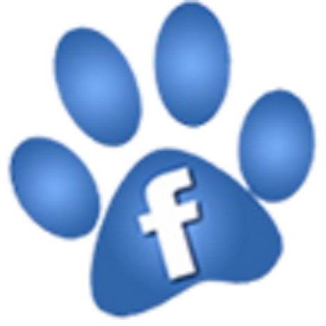 Cat Boarding Melbourne | veterinary care | 213 Sydney Rd, Coburg VIC 3058, Australia | 1300342110 OR +61 1300 342 110