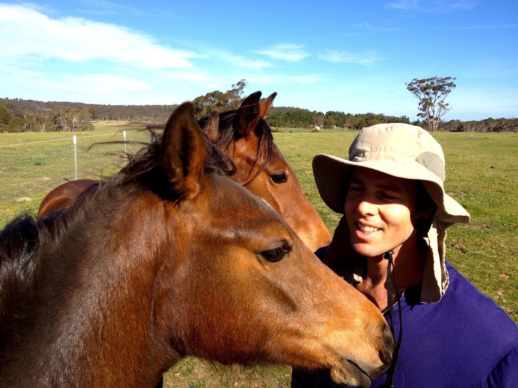 The Horses Gift with Julie Bechu | health | 46 Punkalla Tilba Rd, Central Tilba NSW 2546, Australia | 0430788951 OR +61 430 788 951
