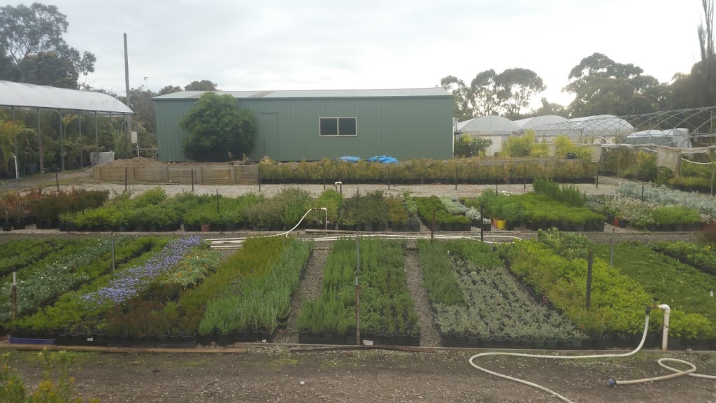 Wholesale Plants Direct | 640 Cranbourne-Frankston Rd, Cranbourne South VIC 3977, Australia | Phone: 0426 966 057