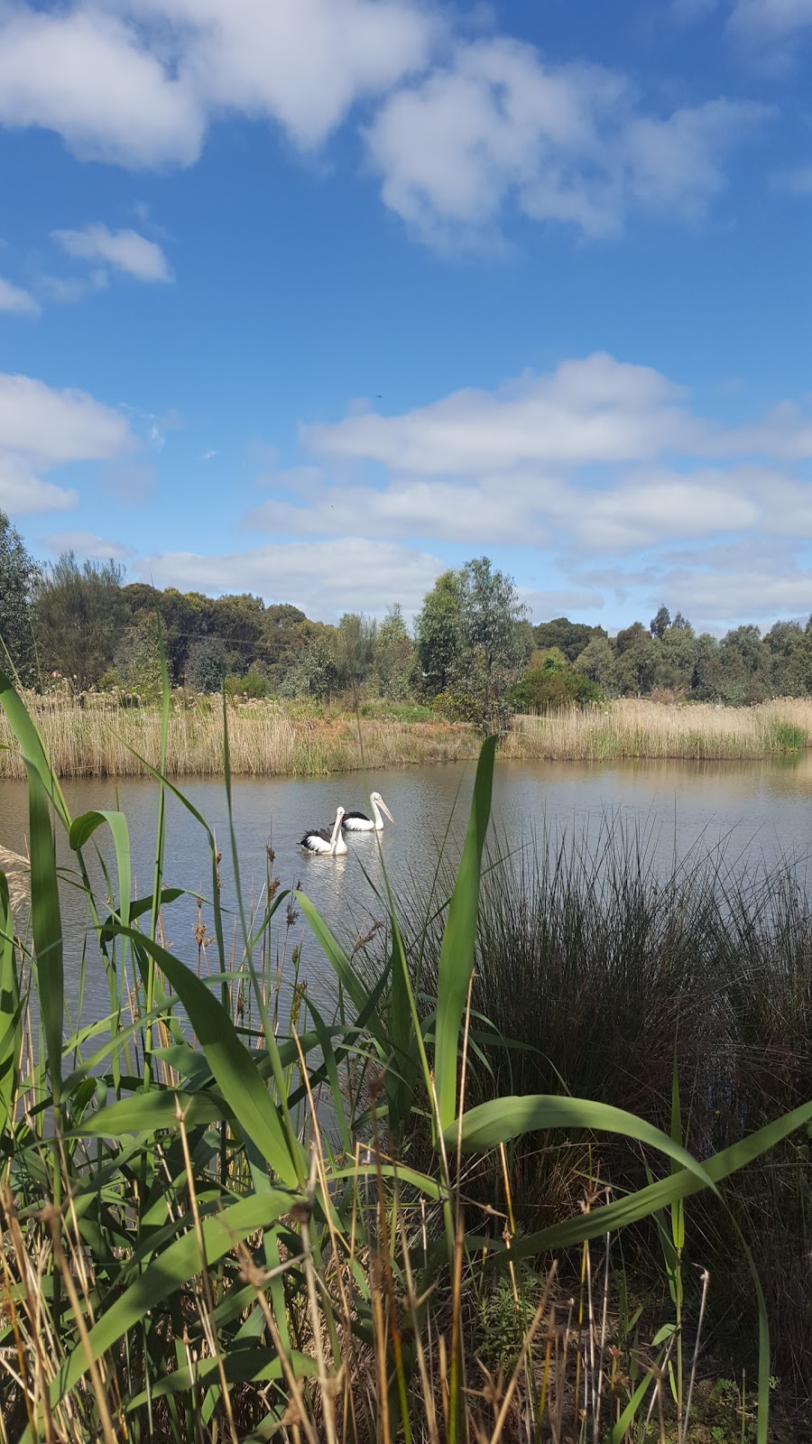 Happy Valley/Reynella East Wetlands | park | Byards Rd, Happy Valley SA 5159, Australia