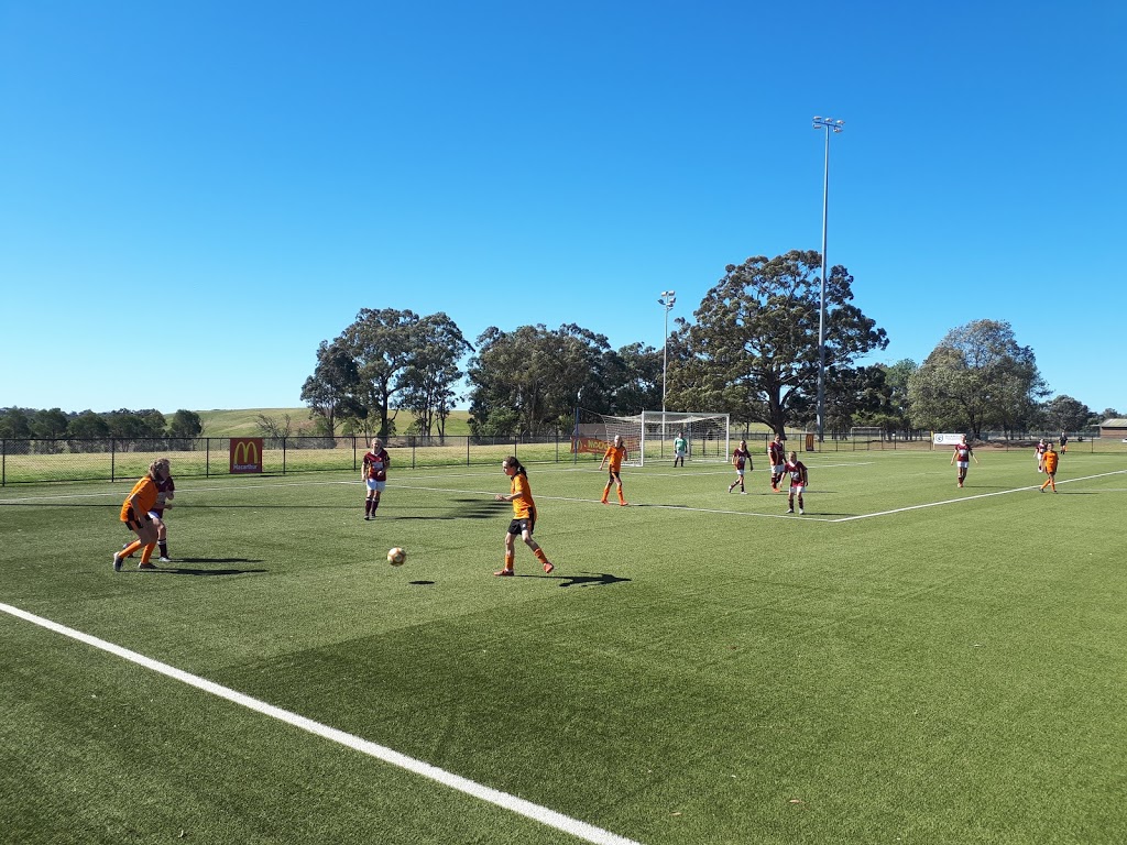 Camden Tigers Soccer Club | Ron Dine Memorial Reserve, McCrae Dr, Camden South NSW 2570, Australia | Phone: 0413 889 180