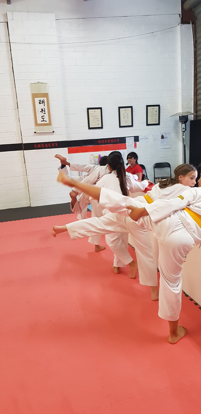 DD Taekwondo | 9/8/10 Norton Dr, Melton VIC 3337, Australia | Phone: 0428 938 244