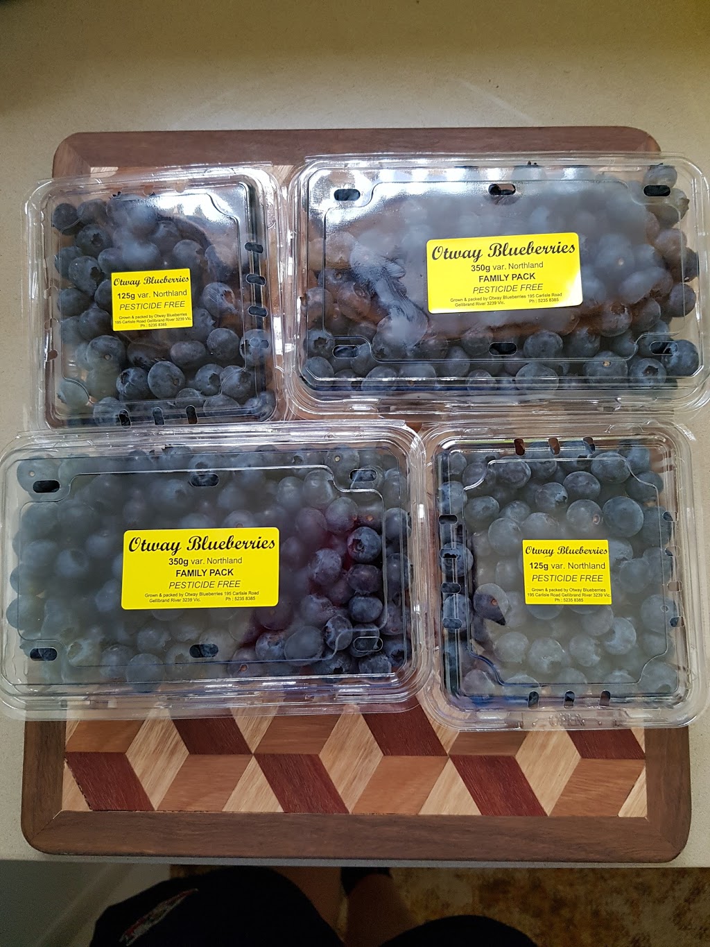 Otway Blueberries | store | 155 Gellibrand-Carlisle Rd, Gellibrand VIC 3239, Australia | 0352358185 OR +61 3 5235 8185