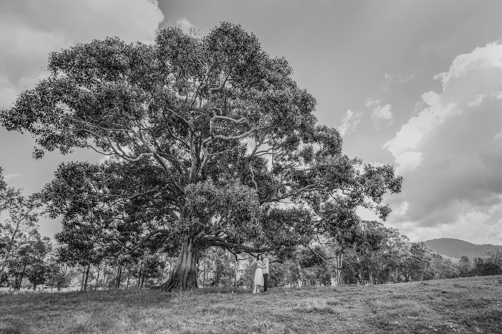 Christina Robyn Photography | 300 Bishop Rd, Beachmere QLD 4510, Australia | Phone: 0423 673 617