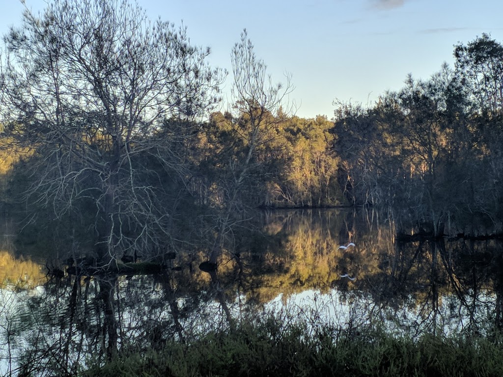 Arundel Wetlands | park | Park & Recreation, 90 Golden Bear Dr, Arundel QLD 4214, Australia