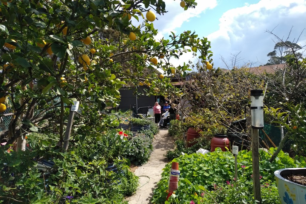 Kiama Community Garden | park | Kiama NSW 2533, Australia