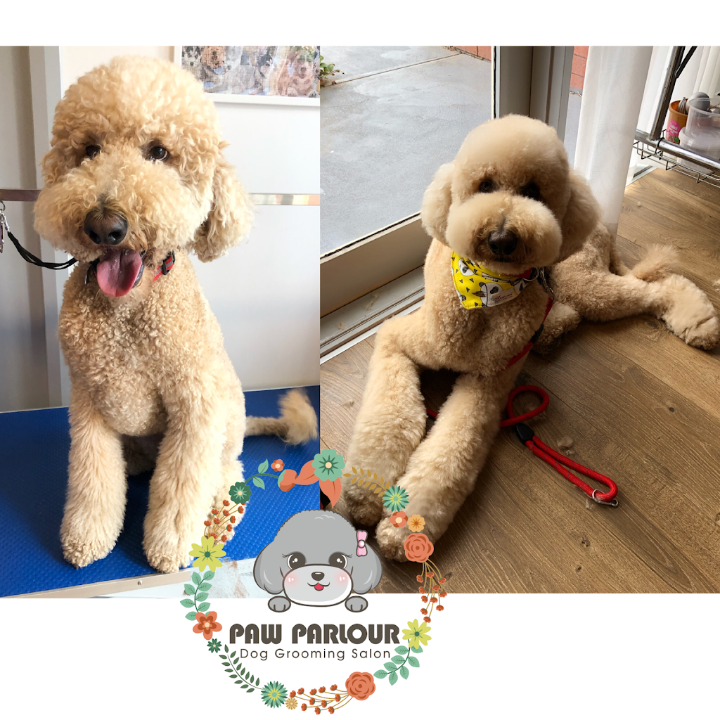 Paw Parlour Dog Grooming Salon | 107 Ayr St, Doncaster VIC 3108, Australia | Phone: 0432 118 960