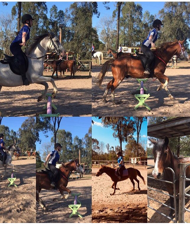 Nels Horse Riding School | 185 Alfred Rd, Stockleigh QLD 4280, Australia | Phone: (07) 5546 8815