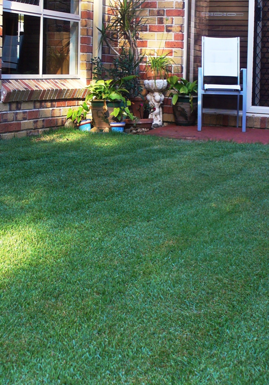 Richards Turf Supplies | general contractor | 25 Waterlily Pl, Calamvale QLD 4116, Australia | 0438582522 OR +61 438 582 522