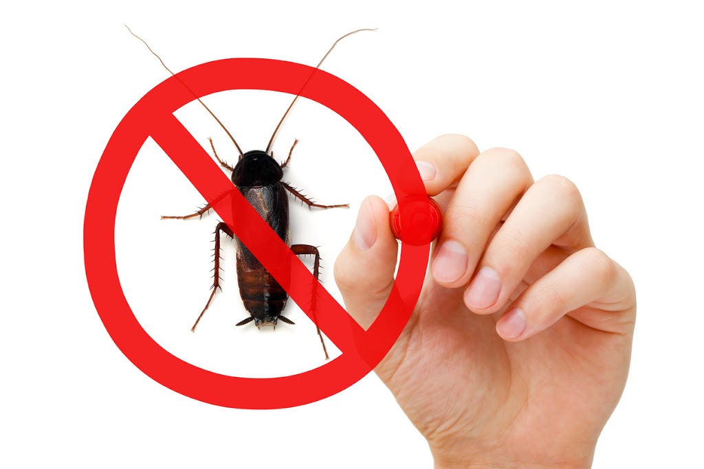 Creepy Crawly Pest Control Brisbane / Gold Coast | 10 Quindus St, Beenleigh QLD 4207, Australia | Phone: (07) 3382 0366