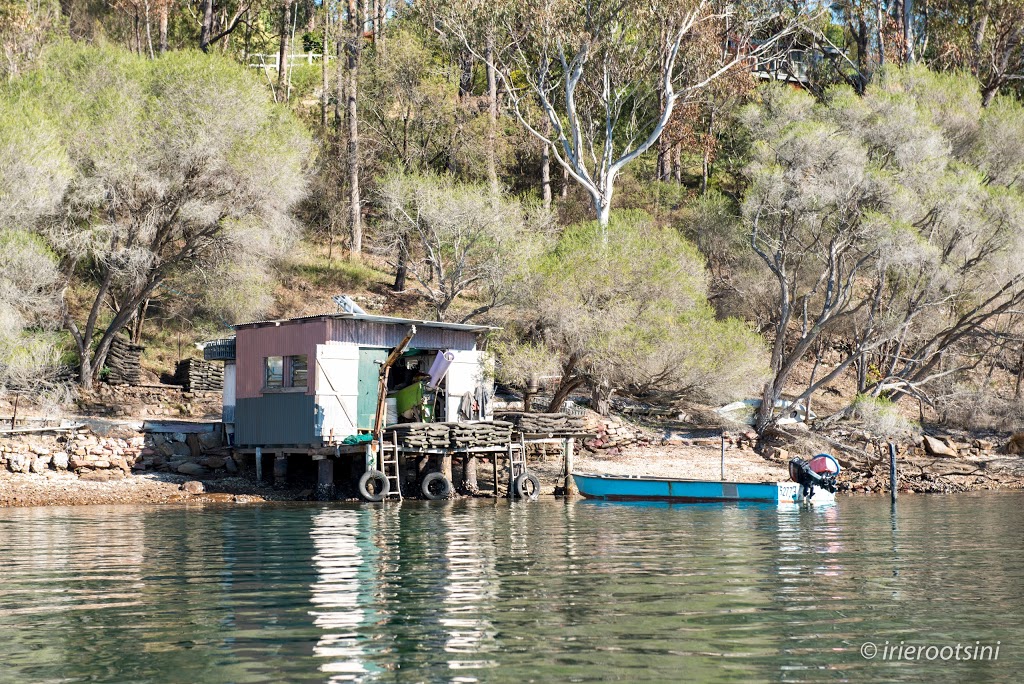 Captain Sponges Magical Oyster Tours | travel agency | River, Pambula NSW 2549, Australia | 0429453545 OR +61 429 453 545