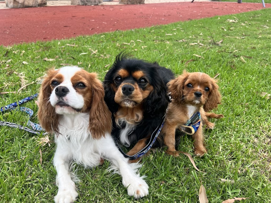 McKinnons Dogwash & Grooming | 32 Hoddle St, Robertson NSW 2577, Australia | Phone: 0434 892 844