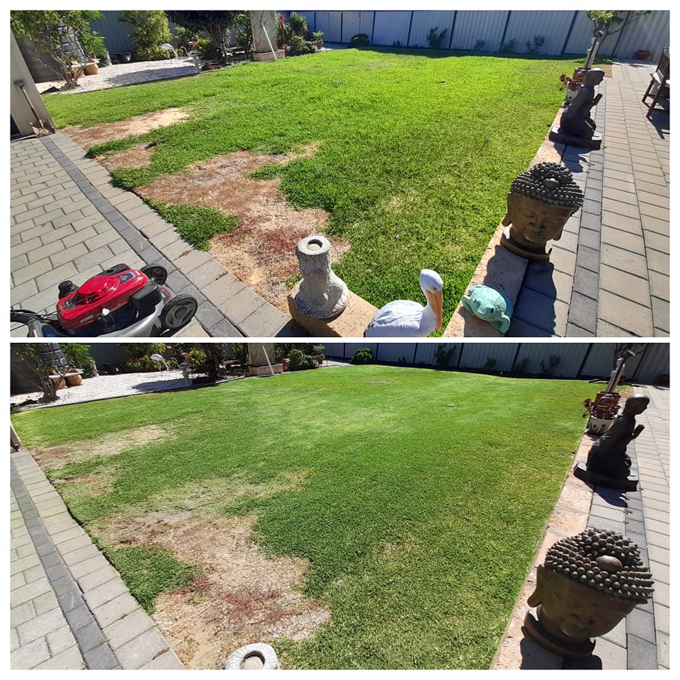 OceanSide LawnMowing |  | 46 Cawana Pkwy, Lakelands WA 6180, Australia | 0422478791 OR +61 422 478 791