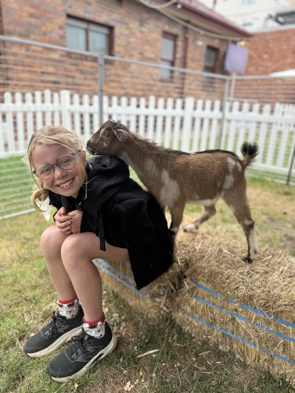 Noah’s Ark Mobile Animal Farm & Petting Zoo | 45 Gleeson Rd, Tynong VIC 3813, Australia | Phone: 0402 008 321