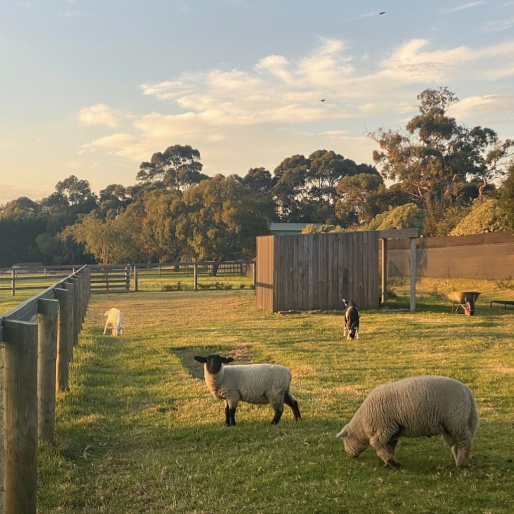 Little Farmers | school | 122 Browns Rd, Boneo VIC 3939, Australia | 0432342285 OR +61 432 342 285