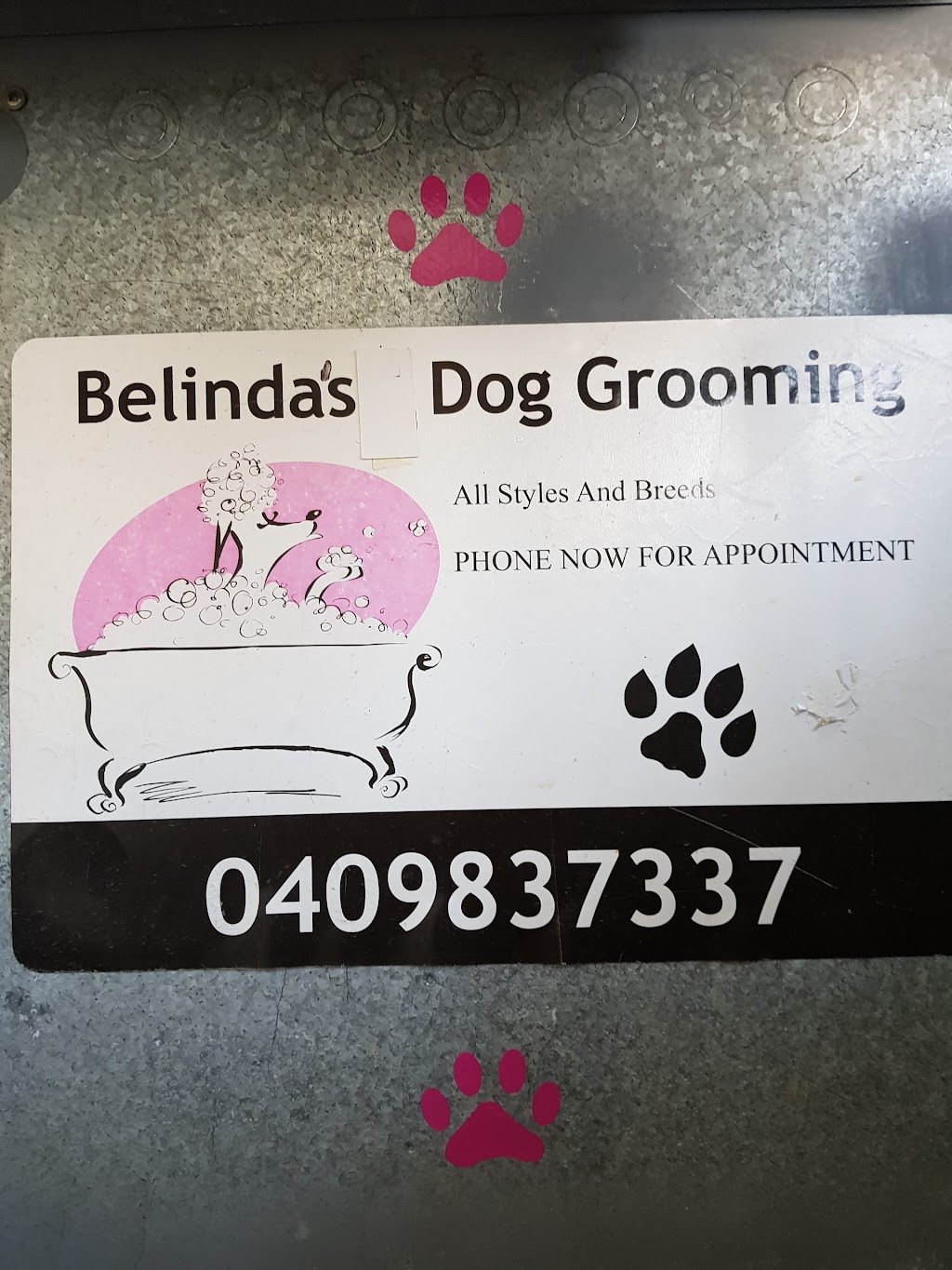 Belindas Dog Grooming | 20 Reef Cl, Port Macquarie NSW 2444, Australia | Phone: 0409 837 337