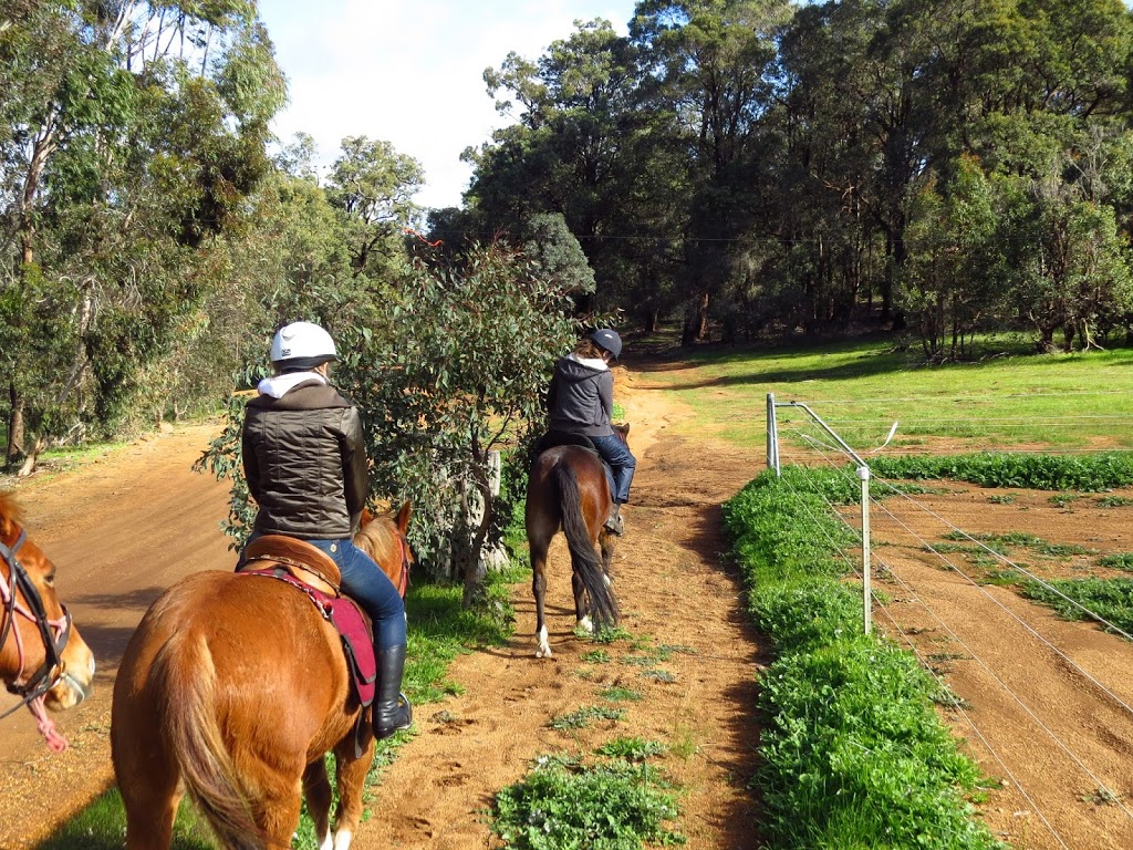 Zia Park Equestrian Centre | travel agency | 8410 Stoneville Rd, Gidgegannup WA 6083, Australia | 0895746010 OR +61 8 9574 6010