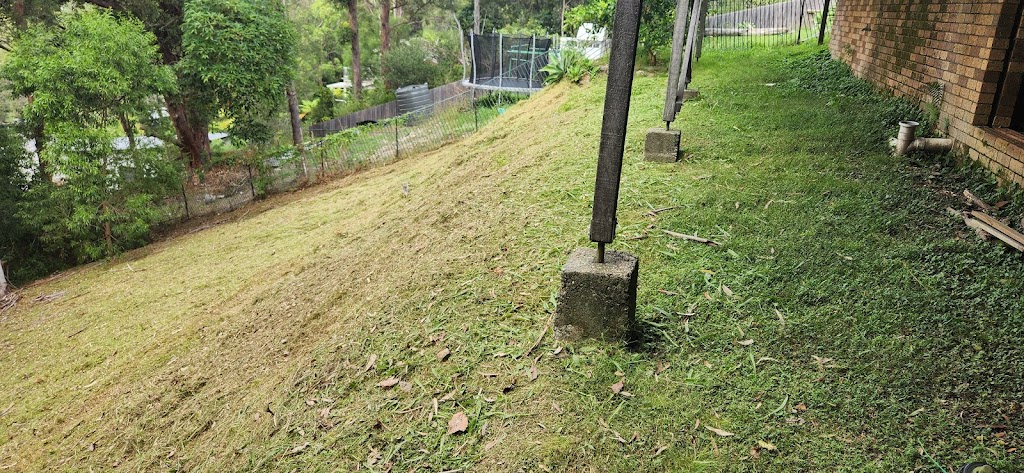 Pacific Palms Mowing | Boomerang Dr, Boomerang Beach NSW 2428, Australia | Phone: 0484 037 930