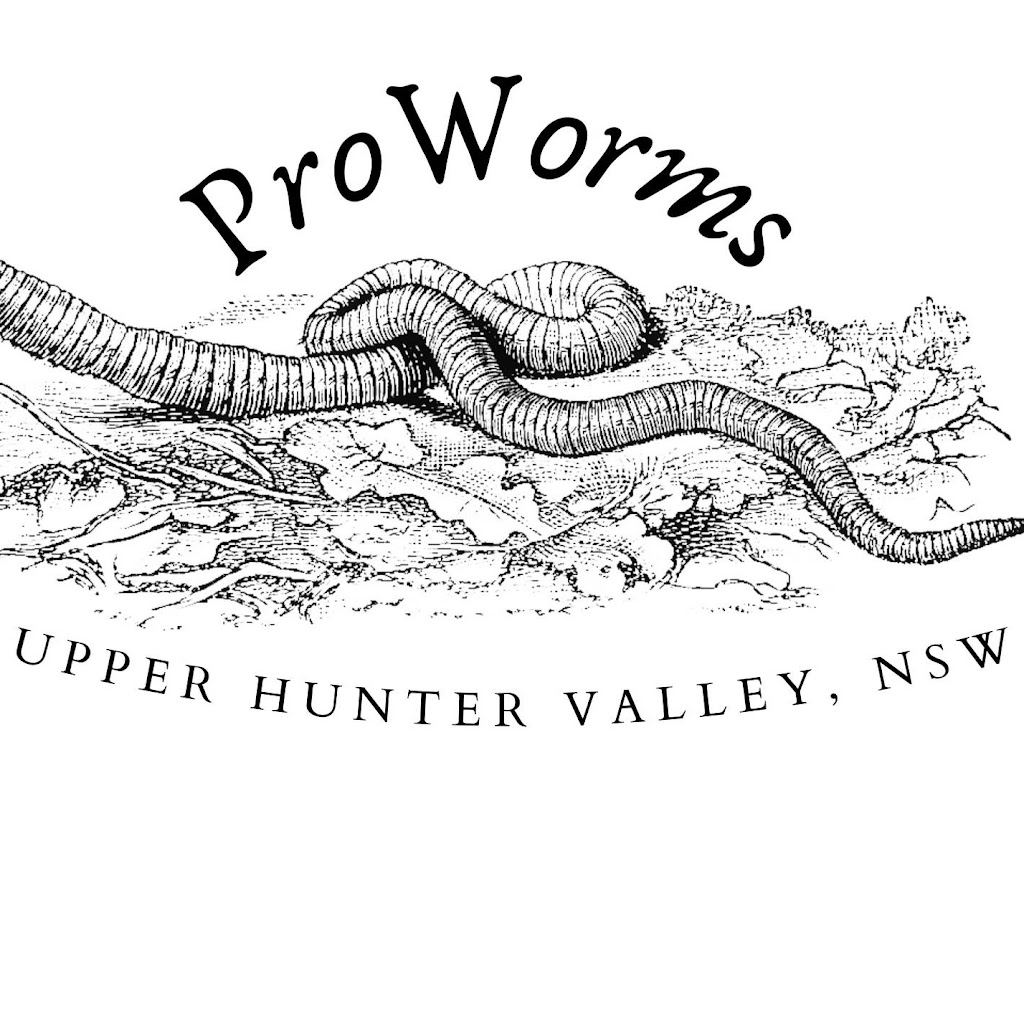 ProWorms | 3 Campbell St, Aberdeen NSW 2336, Australia | Phone: 0410 457 540