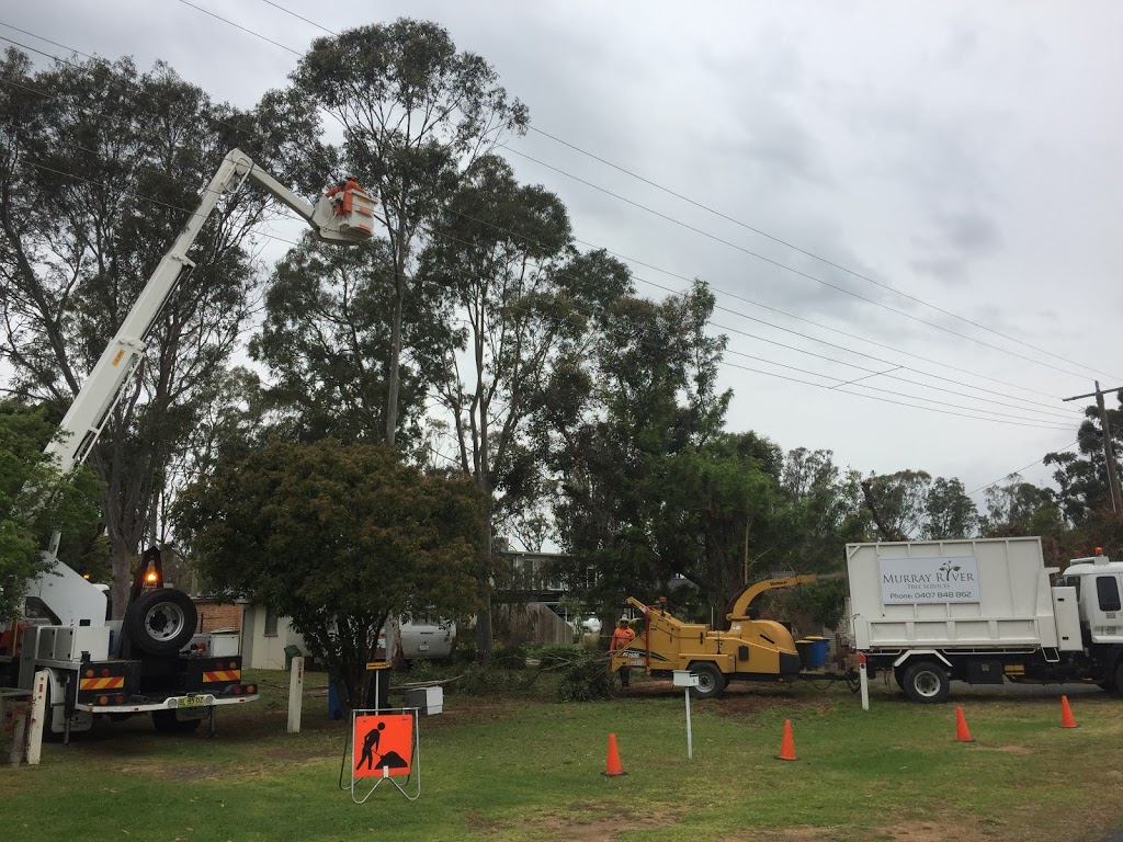 Murray River Tree Services |  | Pasley St, Bundalong VIC 3730, Australia | 0437799837 OR +61 437 799 837